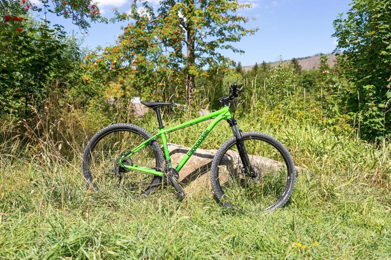 Ferienanlage Zum Wildbach Schierke Bagian luar foto